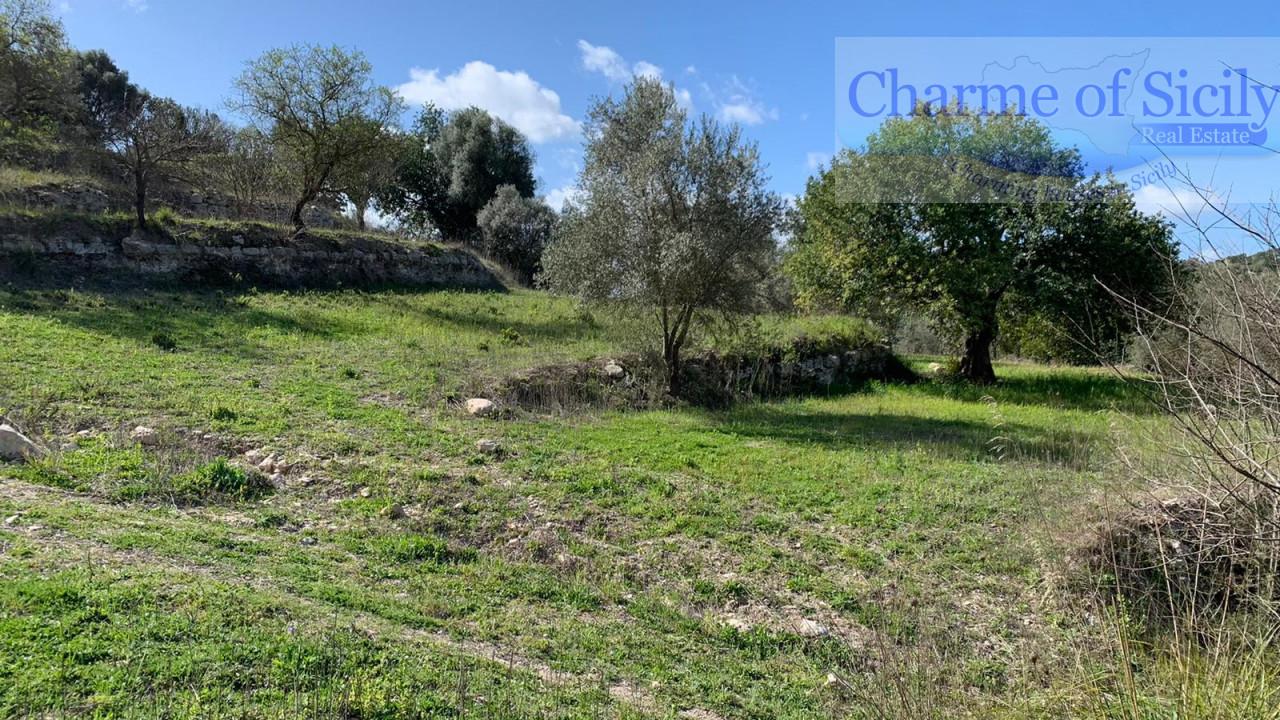 Terrain à Modica, Italy 16174m² No. 230870