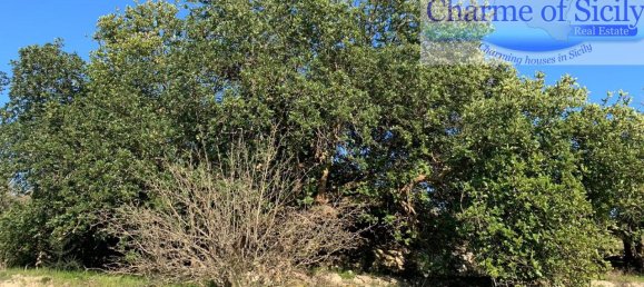 Terrain à Modica, Italy 16174m² No. 230870 10