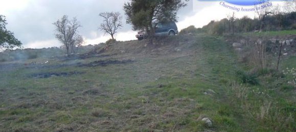 Terrain à Modica, Italy 16174m² No. 230870 21