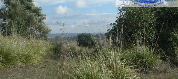 Terrain à Modica, Italy 16174m² No. 230870 37