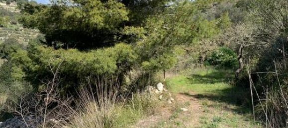 Terrain à Modica, Italy 16174m² No. 230870 44