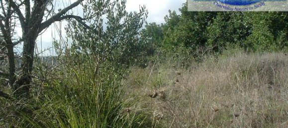 Terrain à Modica, Italy 16174m² No. 230870 26