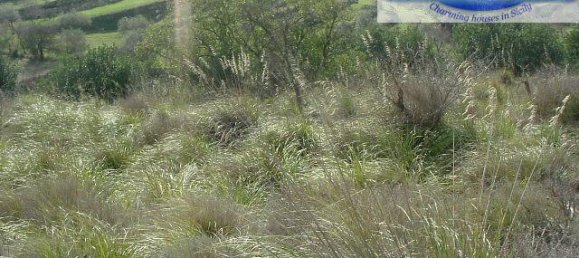 Terrain à Modica, Italy 16174m² No. 230870 36