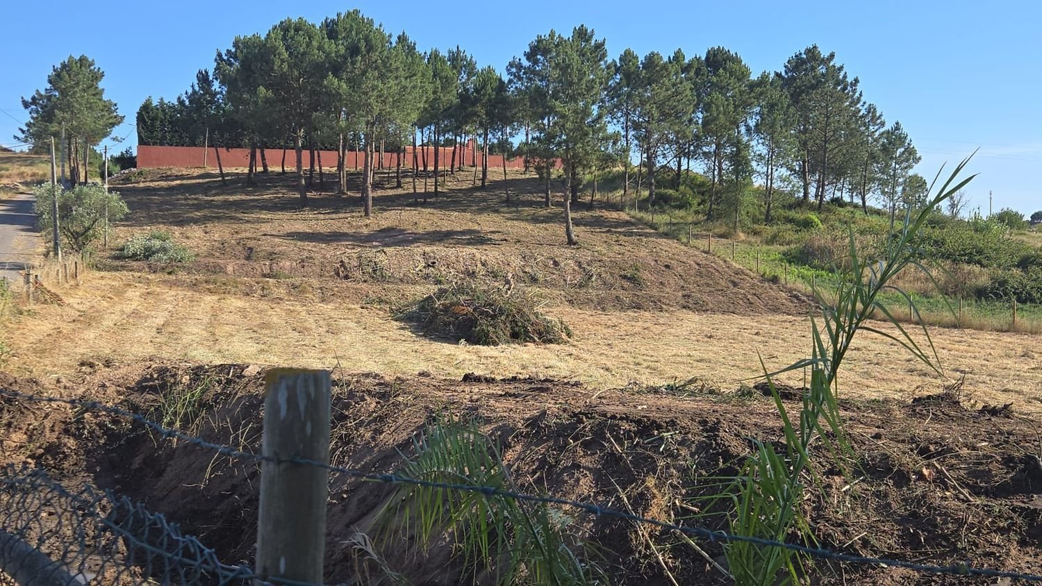 Terrain à Torres Vedras, Portugal No. 199402