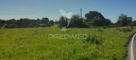 4 غرف نوم قلاع في Santarem, Portugal رقم 77332 5