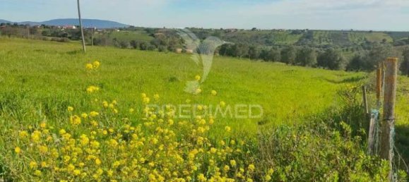 4 غرف نوم قلاع في Santarem, Portugal رقم 77332 6