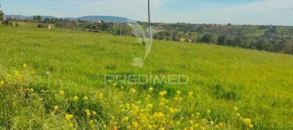 4 غرف نوم قلاع في Santarem, Portugal رقم 77332 8