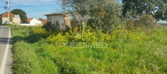 4 غرف نوم قلاع في Santarem, Portugal رقم 77332 9