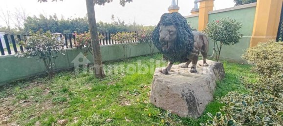 3 Schlafzimmer Villa in Tromello, Italy, Nr. 11226 70