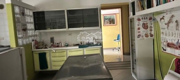 Bureau à Fratta Polesine, Italy 110m² No. 346738 44