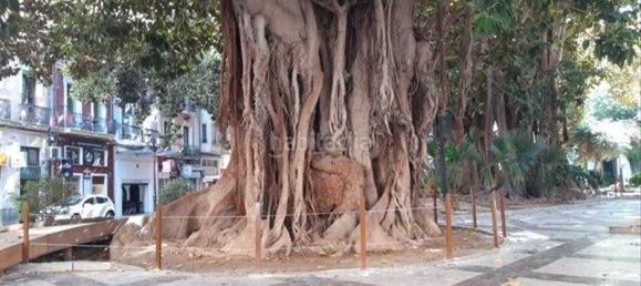 3 Schlafzimmer Wohnung in Alicante, Spain, Nr. 20215 5
