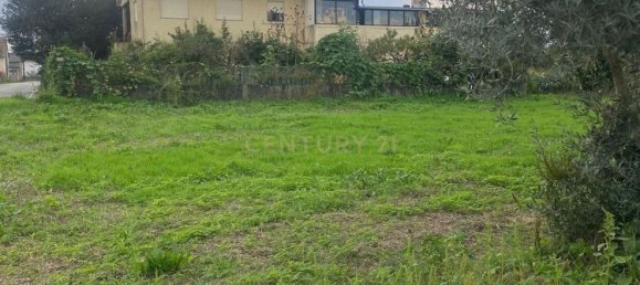 Grundstück in Sangalhos, Portugal 407m², Nr. 79670 9