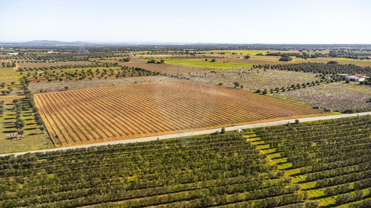  Land in Reguengos de Monsaraz, Portugal No. 108908