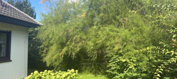 Bungalow de 4 habitaciónes en Roth, Germany No. 303744 17