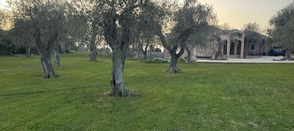 6 bedrooms Villa in Sassari, Italy No. 376894 25