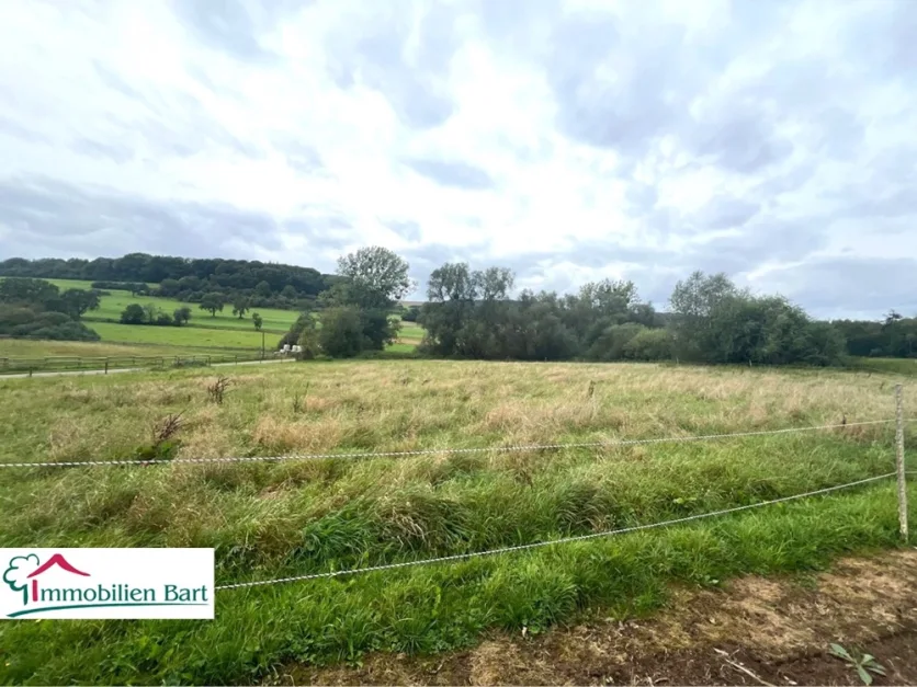 Terreno em Trier-Saarburg, Germany N.º 337328