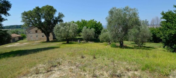 20غرفة منزل في Jesi, Italy رقم 151351 15