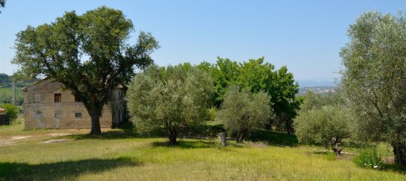 20غرفة منزل في Jesi, Italy رقم 151351 25