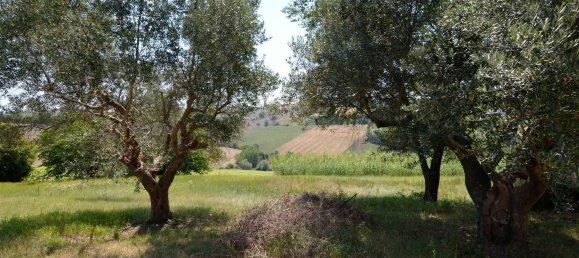 20غرفة منزل في Jesi, Italy رقم 151351 19