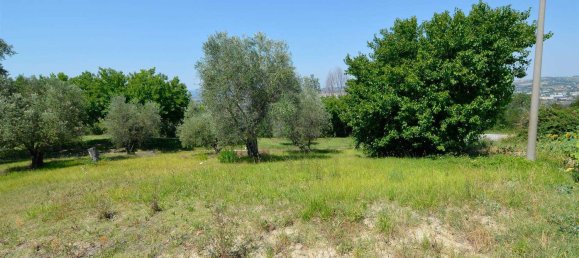 20غرفة منزل في Jesi, Italy رقم 151351 16