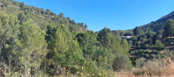  Land in Jalon, Spain No. 284842 11
