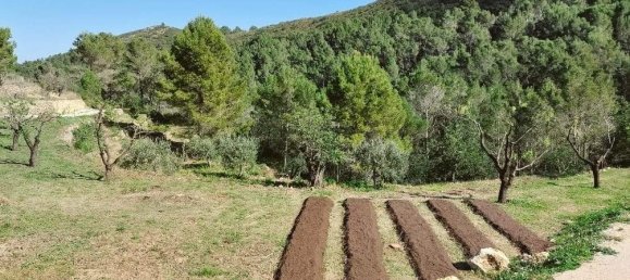  Land in Jalon, Spain No. 284842 12