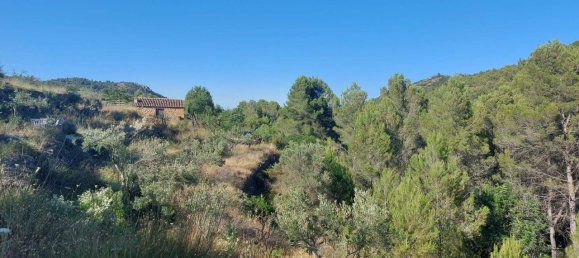  Land in Jalon, Spain No. 284842 6