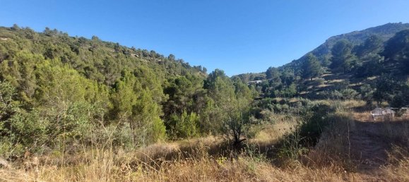  Land in Jalon, Spain No. 284842 10