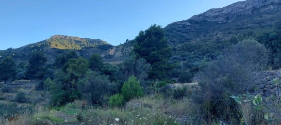  Land in Jalon, Spain No. 284842 2