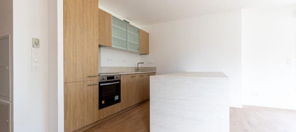 5 bedrooms Villa in Villenave-d'Ornon, France No. 294676 3