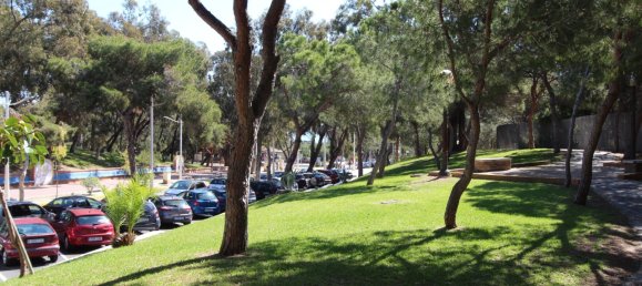 61m² Commercial property in Guardamar del Segura, Spain No. 56314 8