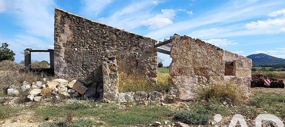 14060m² Land in Sineu, Spain No. 292939 28