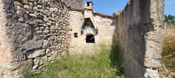 Земельный участок 14060м² в Синеу, Испания № 292939 6