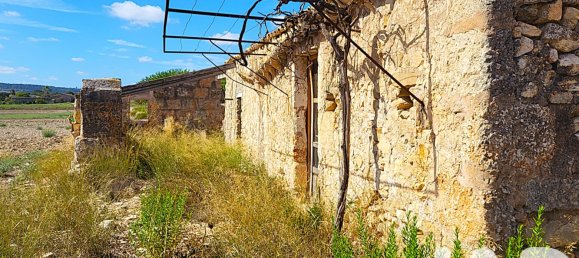 Земельный участок 14060м² в Синеу, Испания № 292939 2