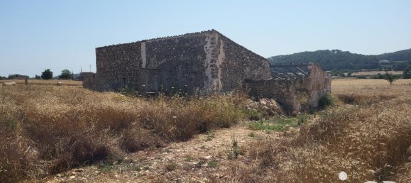 Земельный участок 14060м² в Синеу, Испания № 292939 3