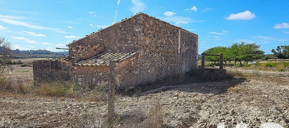 14060m² Land in Sineu, Spain No. 292939 26