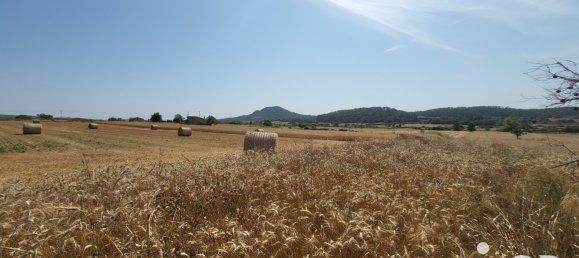 Земельный участок 14060м² в Синеу, Испания № 292939 16