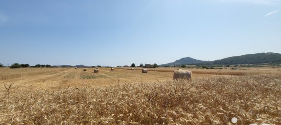 Земельный участок 14060м² в Синеу, Испания № 292939 11