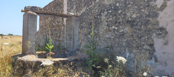 14060m² Land in Sineu, Spain No. 292939 27