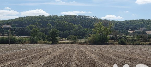 Земельный участок 14060м² в Синеу, Испания № 292939 15