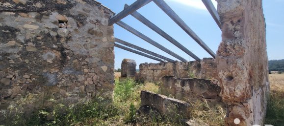 Земельный участок 14060м² в Синеу, Испания № 292939 4