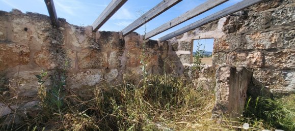 Земельный участок 14060м² в Синеу, Испания № 292939 18