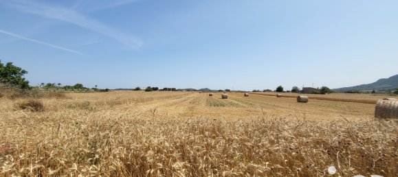 Земельный участок 14060м² в Синеу, Испания № 292939 10