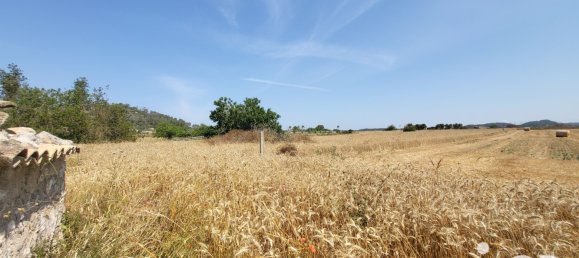 Земельный участок 14060м² в Синеу, Испания № 292939 9