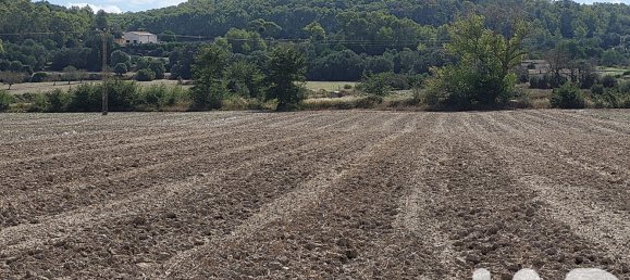 14060m² Land in Sineu, Spain No. 292939 29