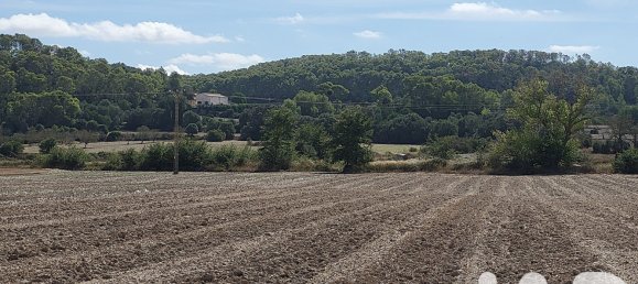 14060m² Land in Sineu, Spain No. 292939 30