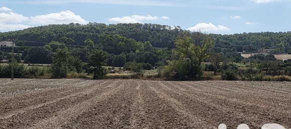 Земельный участок 14060м² в Синеу, Испания № 292939 8