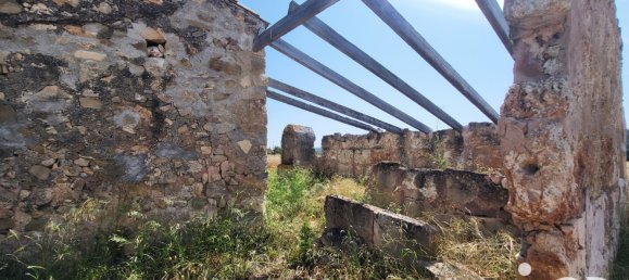 Земельный участок 14060м² в Синеу, Испания № 292939 12