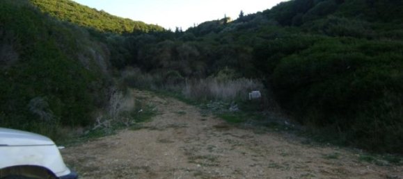 Grundstück in Corfu, Greece, Nr. 847 5