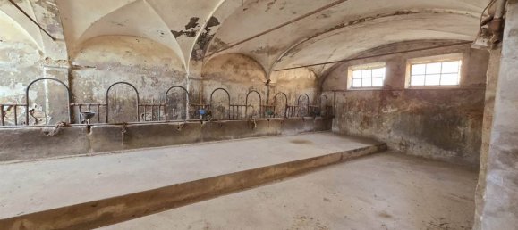 3 Schlafzimmer Haus in Viadana, Italy, Nr. 97595 10